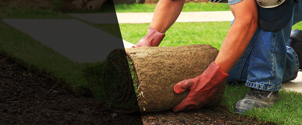 Dry Ridge Landscapers